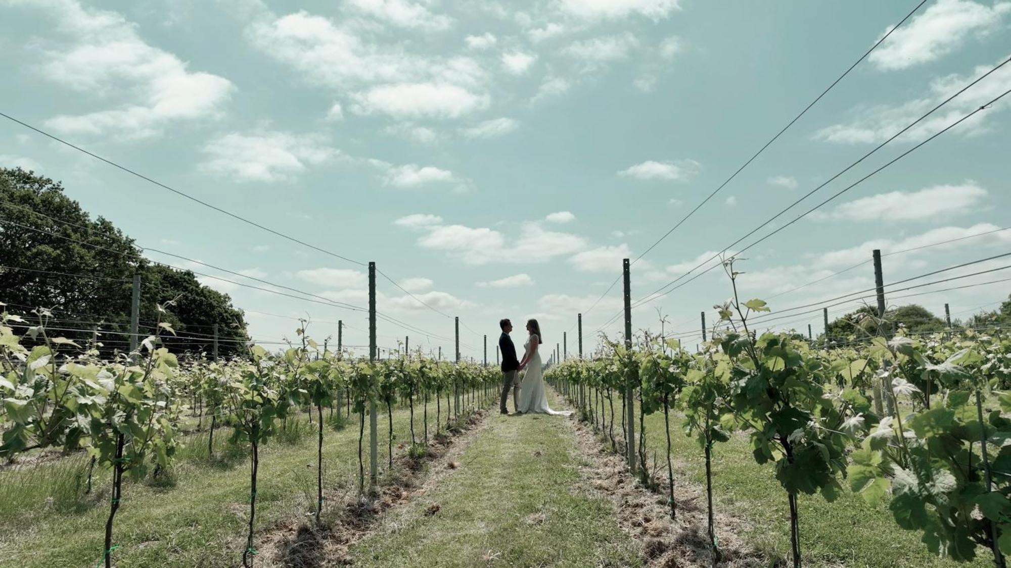 Pinkmead Estate And Vineyard Villa Osborne  ภายนอก รูปภาพ